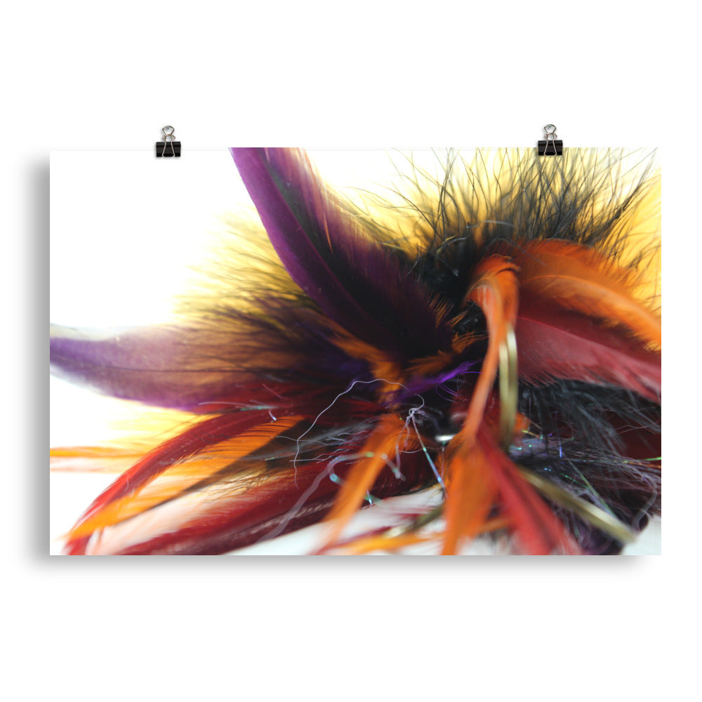 feather tail Poster